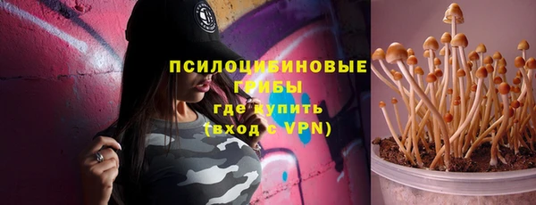 стаф Заволжск