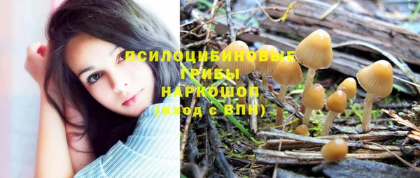 МДМА Заводоуковск